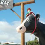 DR_Crusin4Cure_0087 (September 28, 2019)